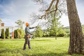 Best Seasonal Cleanup (Spring/Fall)  in Sedgwick, KS